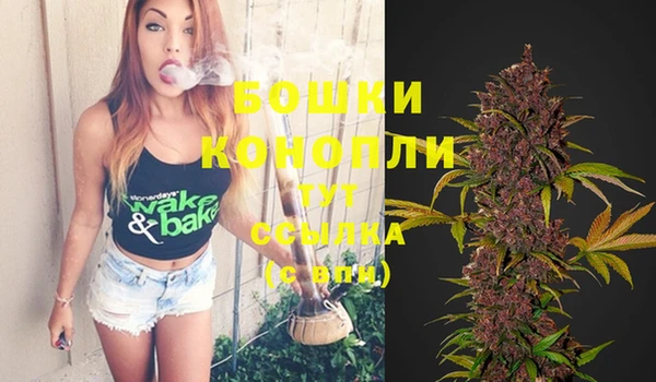 стафф Верхний Тагил
