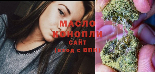 стафф Верхний Тагил