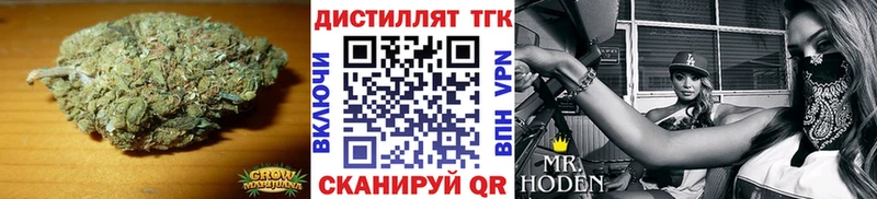 ТГК концентрат  Купить  Славгород 